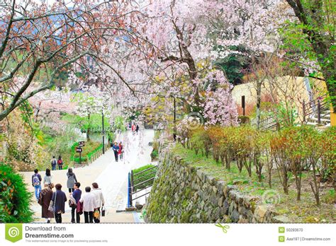 Nara temple in spring editorial image. Image of natural - 50283670