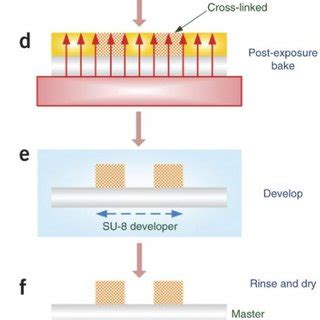 Schematic and stepwise description of a photolithography process to ...