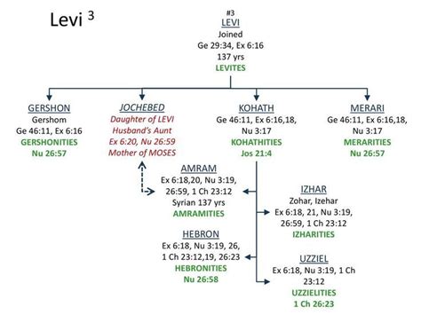 Levi Family Tree in 2022 | Sons of jacob, Levi, Family tree