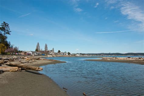 8 Reasons to Visit Double Bluff Beach on Whidbey Island, WA