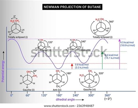 6 Newman Projection Images, Stock Photos, 3D objects, & Vectors ...