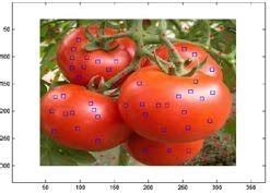 SAMPLE TRAINING SET | Download Scientific Diagram