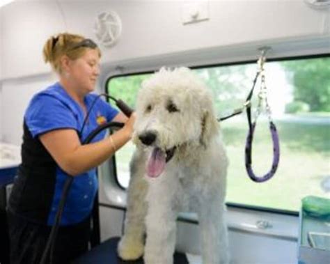 Best Mobile Pet Groomers Near Me - Pet Care Stores