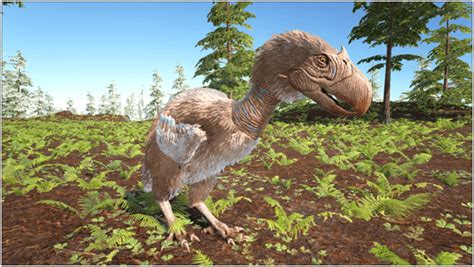 Ark Terror Bird Guide (Abilities, Taming, Food, Saddle, Breeding, Drops & Location) - ProGameTalk