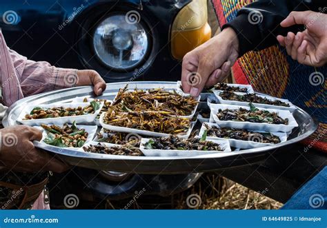 Various fried bugs stock image. Image of life, dinner - 64649825