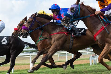 Lone Star Park: Horse Racing in Grand Prairie