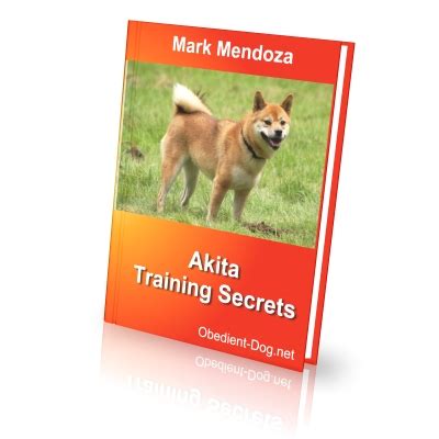 Akita Training Secrets - How To Train a Akita