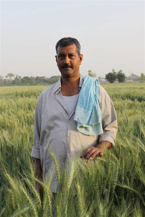 Indian farmer and CSISA partner grows new line for seed pr… | Flickr