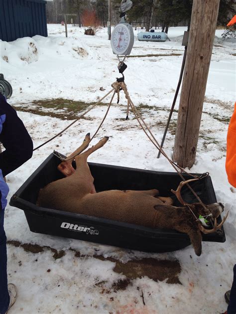 One more use for your Otter sled! - General Discussion Forum | In-Depth Outdoors