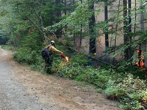 Protection Efforts Nearly Complete With Goat Rocks Fire ½ Mile From Timberline | The Daily Chronicle