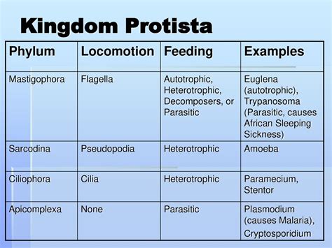 Kingdom Protista What do you already know about this kingdom?...Continue to the next slide for ...