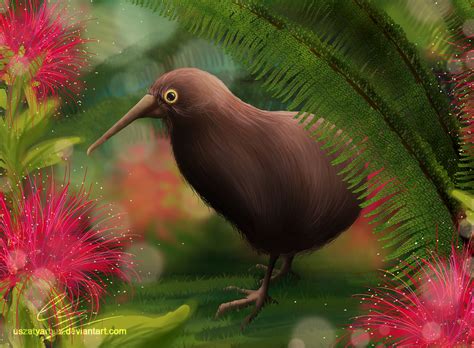 Kiwi bird by UszatyArbuz on DeviantArt