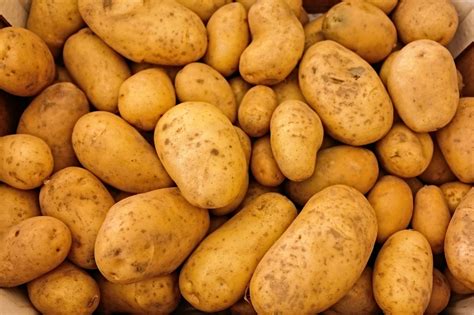 Free Images : yukon gold potato, natural foods, root vegetable, local ...