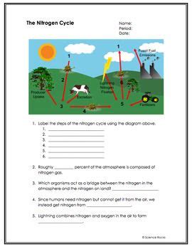 Biogeochemical Cycles Worksheets | Nitrogen cycle, Worksheets, Formative assessment