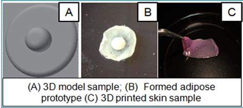 11 Companies Leading the 3D Bioprinting Space - 3DPrint.com | The Voice ...