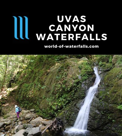 Uvas Canyon Waterfalls - South Bay Area's 6-Waterfall Refuge