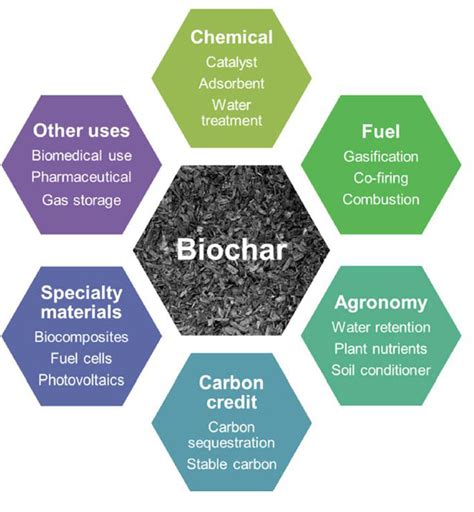 The biochar economy - permachar