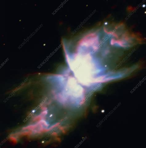 Butterfly Nebula - Stock Image - R700/0124 - Science Photo Library