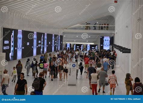 Oculus of the Westfield World Trade Center Transportation Hub in New ...