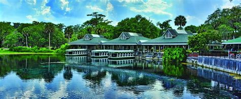 View of historic boats docked at the landing of Silver Springs State Park (With images) | Ravine ...