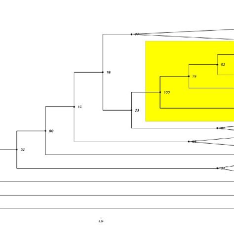 Molecular phylogenetic analysis by Maximum Likelihood method using... | Download Scientific Diagram