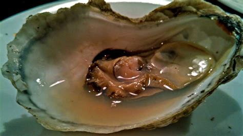 Chincoteague Oysters {From Virginia's Eastern Shore