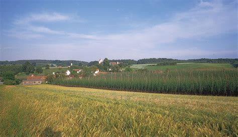 Germany - Farming, Crops, Livestock | Britannica