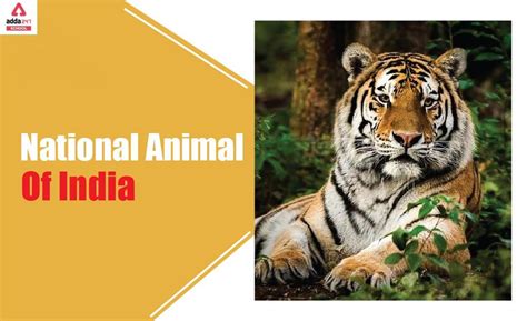 National Animal of India 2022