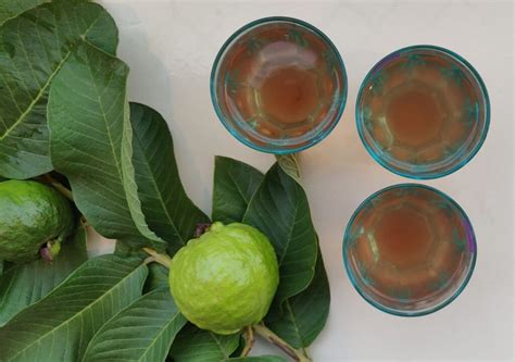 Guava Leaves Tea – Nutritales