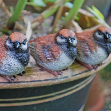 Set of 3 Pot Topping Sparrow Bird Garden Ornaments