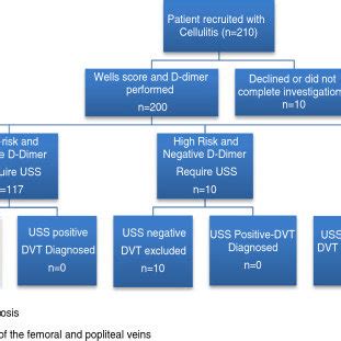 Flow chart for patients with cellulitis investigated for DVT. | Download Scientific Diagram