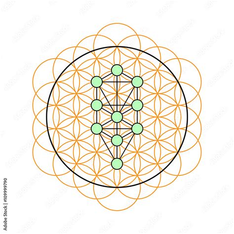 Sacred geometry. Tree of life in a Flower of life Stock Vector | Adobe ...