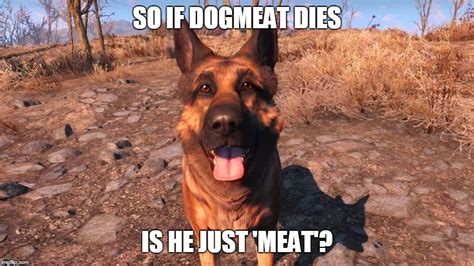 dogmeat Memes & GIFs - Imgflip