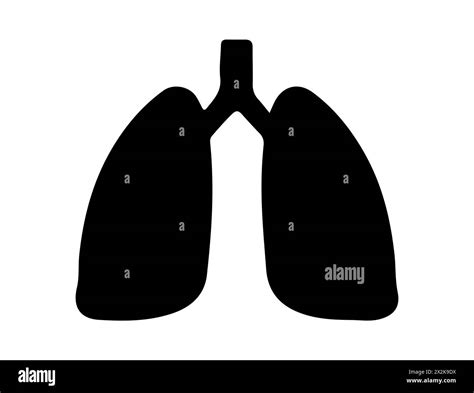 Human lung silhouette vector art Stock Vector Image & Art - Alamy