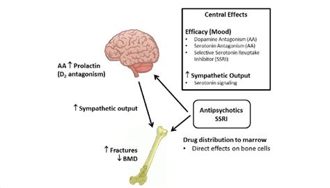 Antipsychotic (AA) and selective serotonin reuptake inhibitor (SSRI)... | Download Scientific ...