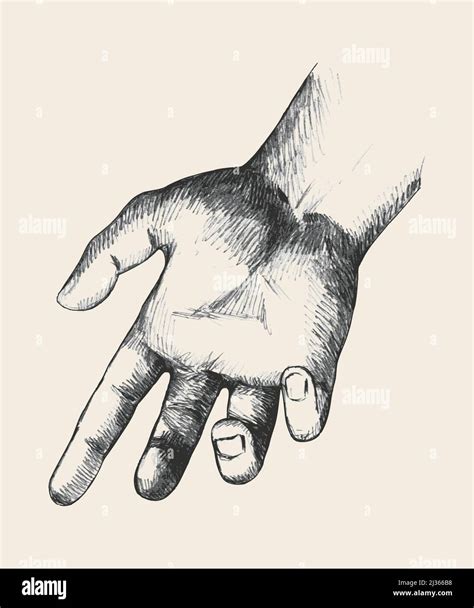 Sketch illustration of a reaching hand Stock Vector Image & Art - Alamy