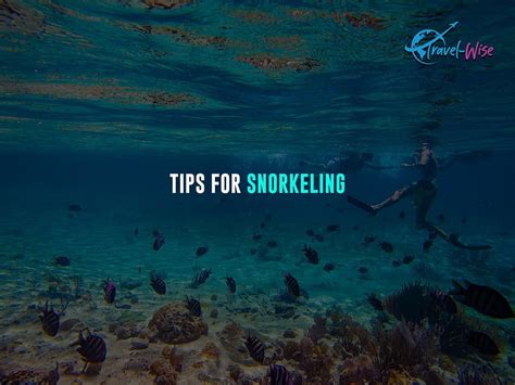 Snorkeling vs Scuba vs Snuba Diving: Difference | Travel-Wise