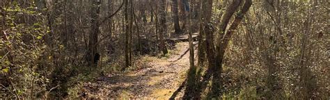 Cathedral Caverns Blue Trail | Map, Guide - Alabama | AllTrails