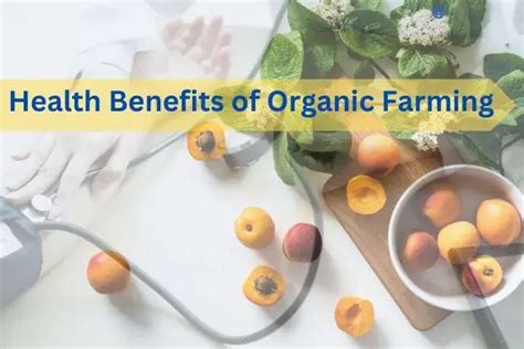 Health benefits of Organic Farming | Niche Agriculture