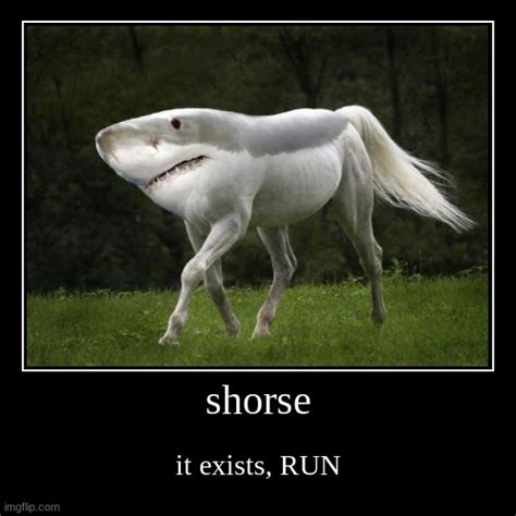 shorse - Imgflip