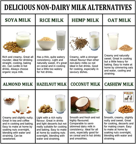 Delicious Non-Dairy Milk Alternatives | Useful Information