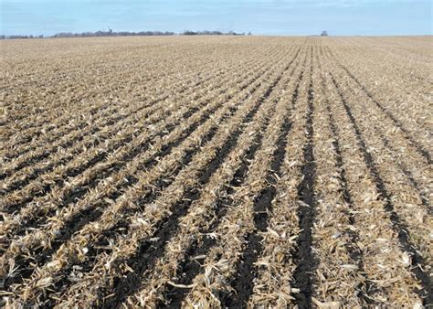 Strip Tillage Promotes Soil Health | AgWeb