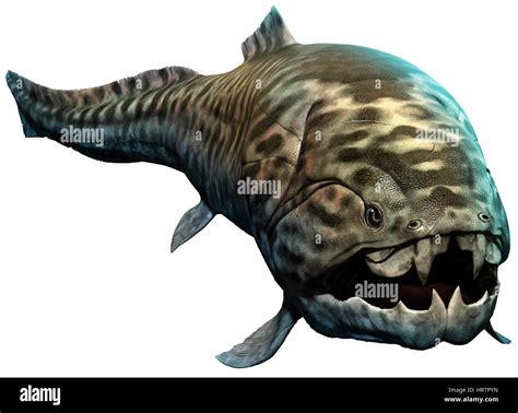 Dunkleosteus Stock Photo: 135154537 - Alamy