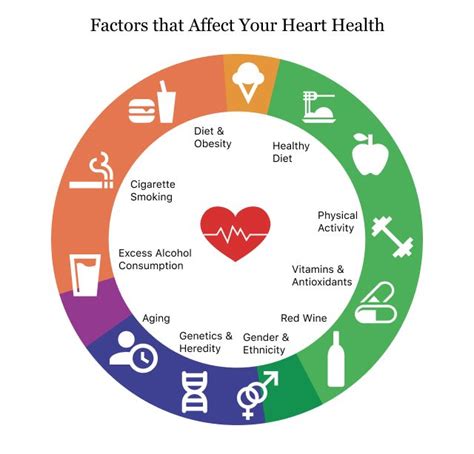 Cardiovascular Health | Heart Disease, Stroke & Other Risks