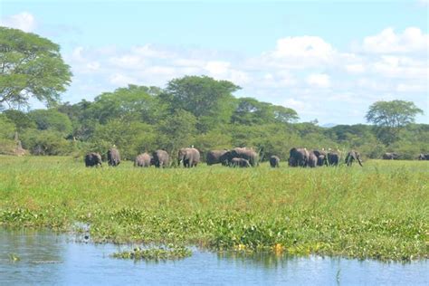 Liwonde National Park Safari | Safari Guide Africa