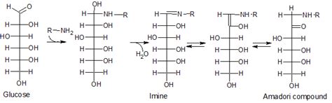 Platzregen Schmerzen einer maillard reaction mechanism ...