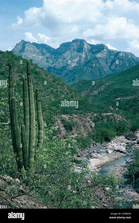 Mexico Sierra Madre Stock Photo - Alamy