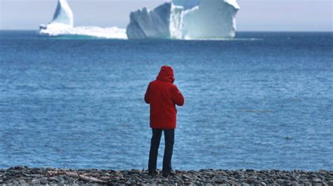 'Iceberg Alley' Is Spectacular This Year For A Sad Reason | HuffPost News