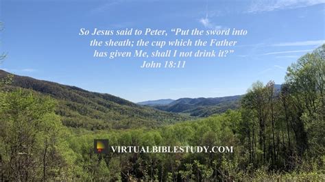 John 18 Lesson - Virtual Bible Study™