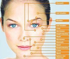 According to reflexology theory, specific points on the face are ...